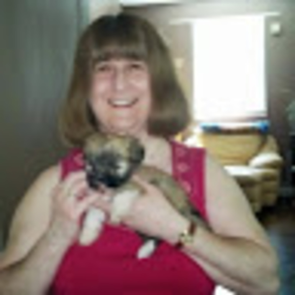 Meet your Posher, Marlene